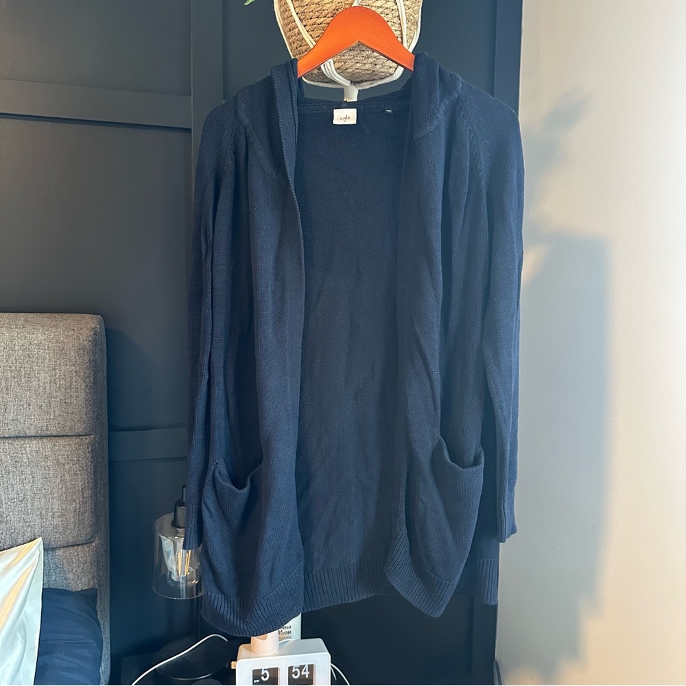 Cabi hooded sweater